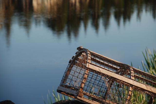 Pictou Lodge Beach Resort エクステリア 写真