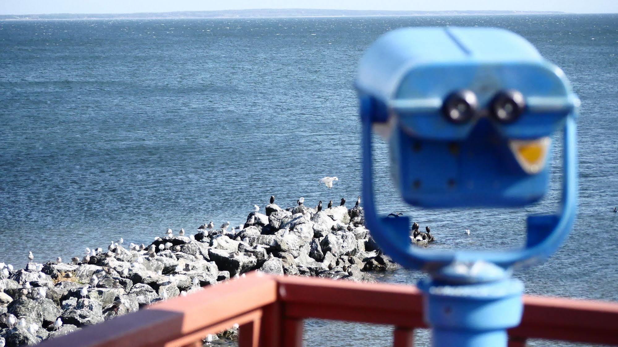 Pictou Lodge Beach Resort エクステリア 写真